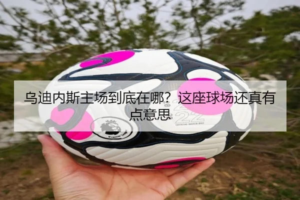 乌迪内斯主场到底在哪？这座球场还真有点意思