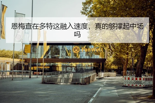 恩梅查在多特这融入速度，真的够撑起中场吗