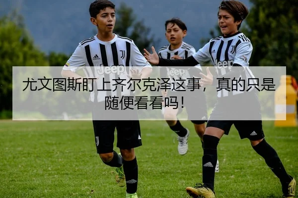 尤文图斯盯上齐尔克泽这事，真的只是随便看看吗！