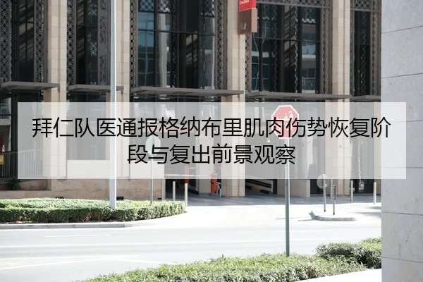 拜仁队医通报格纳布里肌肉伤势恢复阶段与复出前景观察